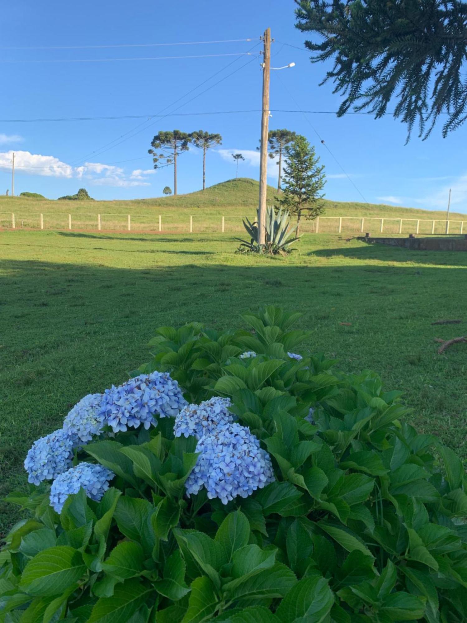 Pousada Fazenda Paim ساو خوسيه دوس أوسينتس المظهر الخارجي الصورة